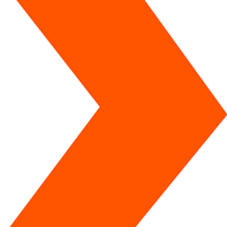 Electrician Professional