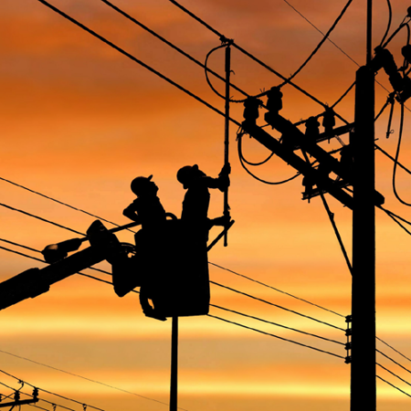 Powerline Professional